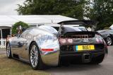 GFOS09_0011_wm.JPG