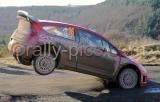 WRGB08_0064_wm.jpg