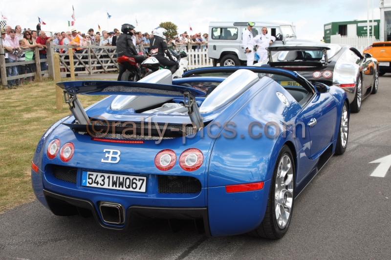 GFOS09_0012_wm.JPG