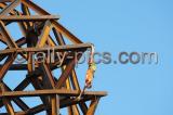 GFOS08_0049_wm.jpg