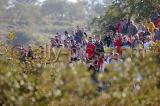 RP0005_wm.jpg