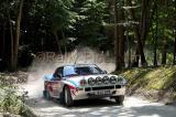 GFOS110045_wm.JPG