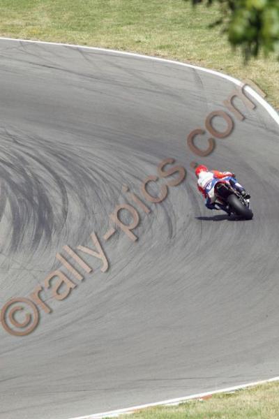 WSB08_0020_wm.jpg