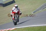 BSB08_0054_wm.jpg